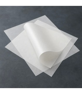 Papel Siliconado A4 x 25 hjs