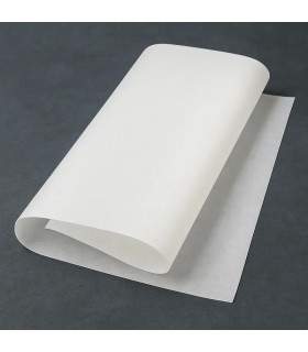 Papel Siliconado A3 x 1 hjs