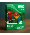 Glossy A3 x 230 x 100 hjs