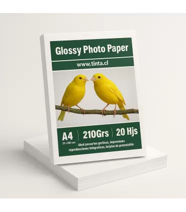 Glossy  A4 X 20 - 210 GRS